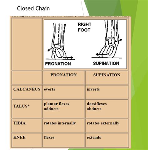 MSK 2 Exam Flashcards Quizlet