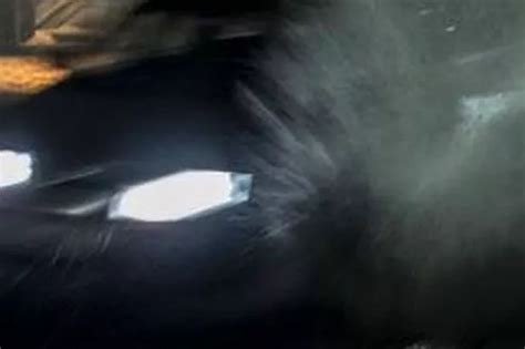 Devon S Best Naked Calendars For Charity Devon Live