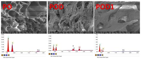 Gels Free Full Text Hemostatic Cryogels Based On Oxidized Pullulan