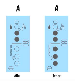 Altissimo Fingerings for Tenor and Alto Saxophone – Better Sax