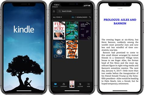 Kindle App Ipad