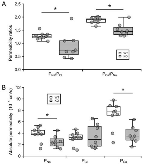 Ijms Free Full Text Claudin Knockout Mice Demonstrate Reduced