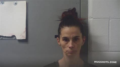 Simms Lana L Mason County Mugshots Zone