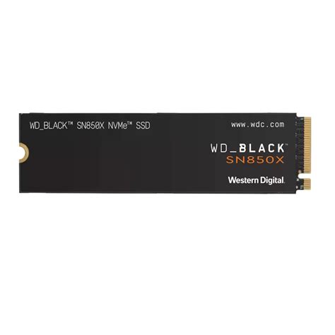 1S1WDC-WDS100T2X0E