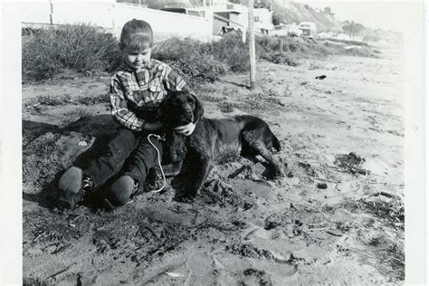 HOWL: The Art & History of Pets | MAH