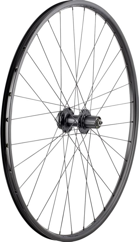 Bontrager Connection 6 Gaats Disc 29 Wielen 12go Biking