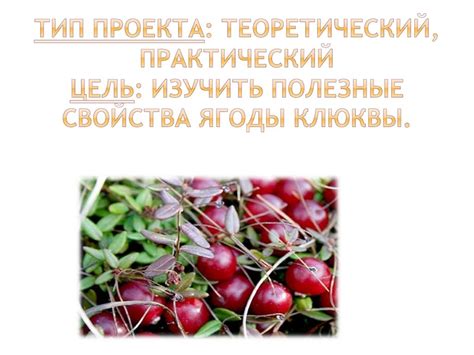 Удивительная ягода - клюква - презентация онлайн