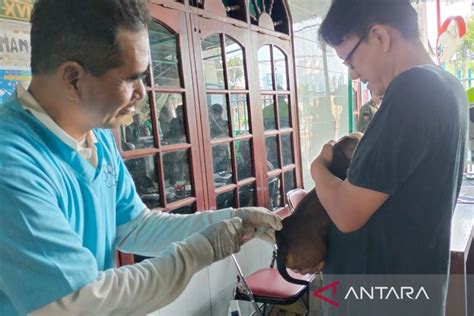 Sudin Kpkp Tuntaskan Vaksinasi Rabies Di Kemayoran Antara News