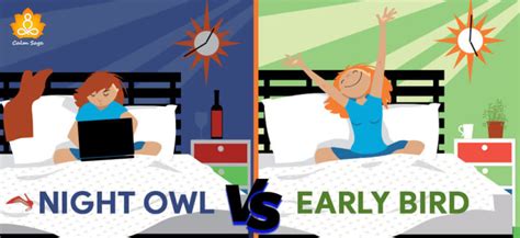 Night Owls Vs Early Birds Who Is Better