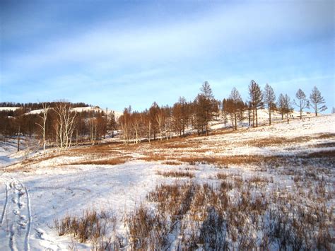 Erdenet - Northern Mongolia - Around Guides
