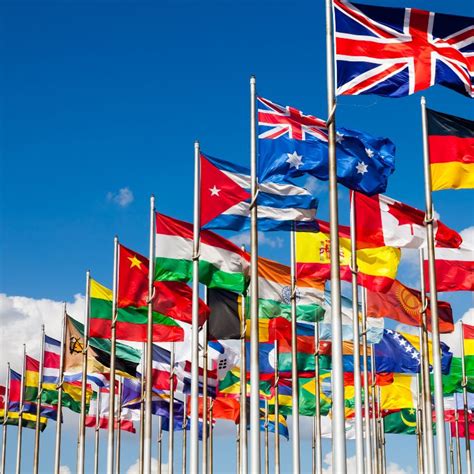 international students  bts global education opportunities