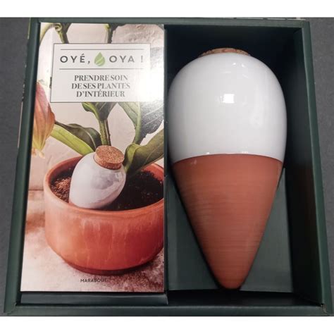 Coffret Oyé Oya Prendre soin de ses plantes d intérieur