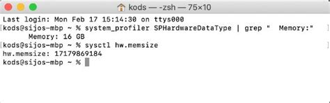 how to tell what my ram is on mac