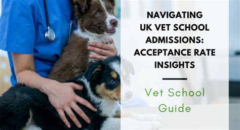 Navigating Uk Vet School Admissions Acceptance Rate Insights Dr