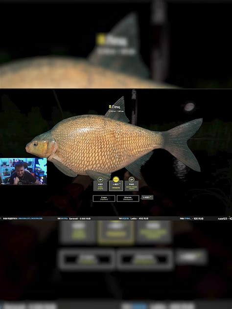 Игра РУССКАЯ РЫБАЛКА 4 сломалась! #driler #рыбалка #рр4 #fishing - YouTube