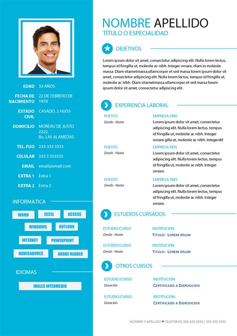 Curriculum Vitae Profesional Modelo De Curriculum Vitae Curriculum