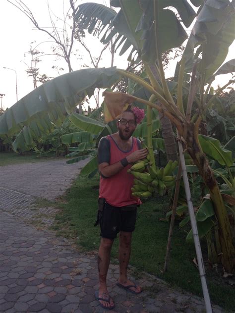 Charlie And Tits Great Adventure