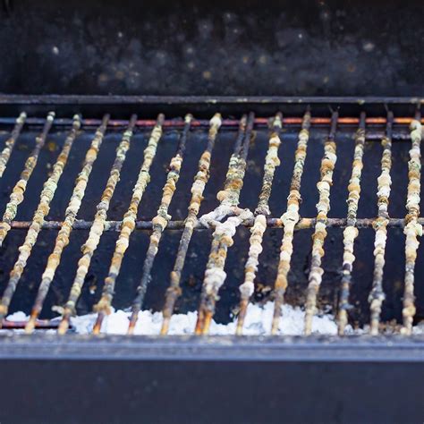Whats The Weird Green Stuff On My Grill