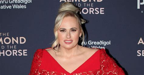 Rebel Wilson S Fianc Es Father Doesnt Approve Of Same Sex Union Report