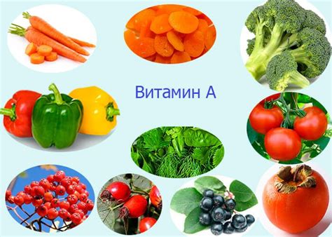 Витамины в растениях - LibTime