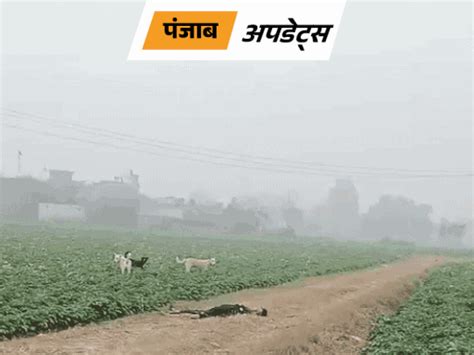 punjab breaking news headlines today pictures