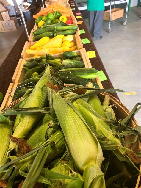 Burial experts explain how the dracut funeral home dracut ma works 7