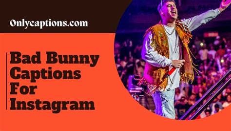 Bad Bunny Captions For Instagram Lyrics Selfie