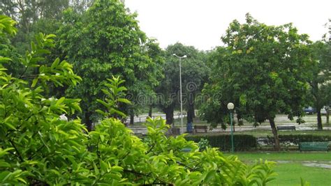 beautiful raining weather  chandigarh india stock photo image