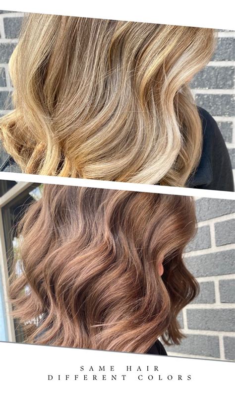 Blonde Vs Brunette Blonde Vs Brunette Hair Brunette