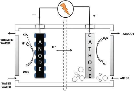 Schematic Representation Of A Microbial Fuel Cell Mfc Reprinted With Download Scientific