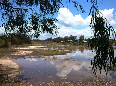 Solve The Wetlands Jigsaw Puzzle Online With 108 Pieces