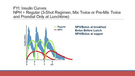 Insulin Therapy Laura Shanemc Whorter Pharm D Bcps