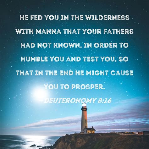 Manna In The Wilderness Bible