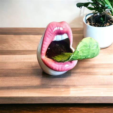 Ceramic Lips Planter Open Mouth Planter Red Lips Succulent Etsy