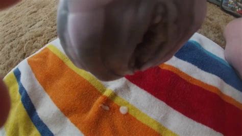 Cumming Inside Bad Dragon Pussy Pornhub Gay