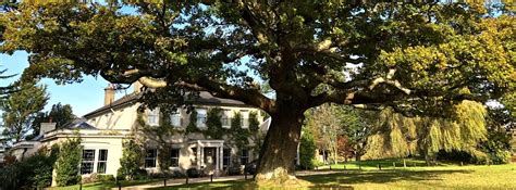 brockenhurst village walk route guide adventures