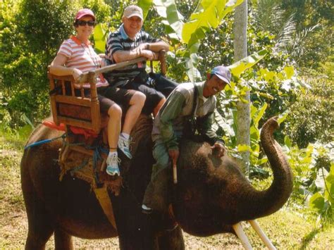 Bali Elephant Ride - Bali Happy Tours