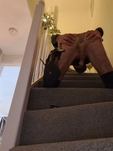 Solo Fun Nude Pics XHamster