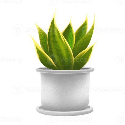 Snake Plant In A White Pot 16695537 Png