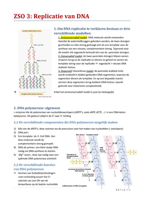 ZSO 3 Samenvatting ZSO 3 Replicatie Van DNA 1 Om DNA Replicatie Te