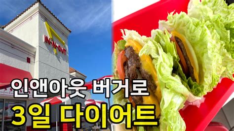 미국일상인앤아웃 버거로 3일 다이어트 다이어터에게 딱인 시크릿 메뉴 Diet With In N Out Burger