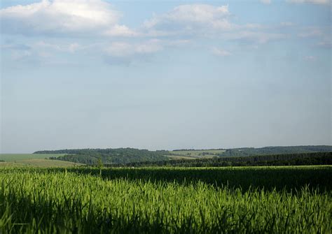 Kolos Wheat Ears Of Corn - Free photo on Pixabay - Pixabay