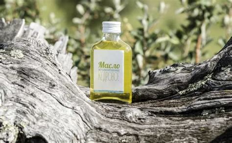 Кедровое масло для лица: польза, применение в косметологии