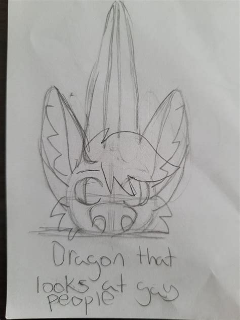 Dragon That Looks At Gay People R Furrymemes