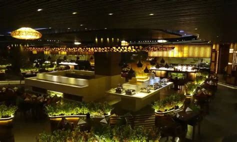 culinary journey  mumbais  restaurants