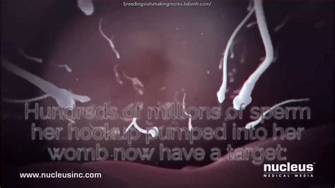 The Urge To Breed Compilation Porn XHamster