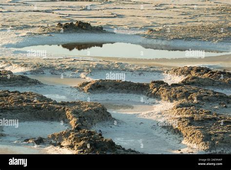 Pool Of Water In Salt Pan With Reflection In Alviso San Jose