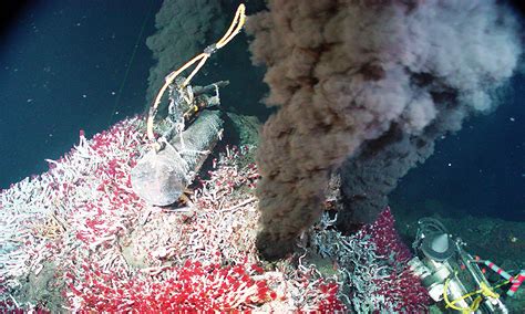 Deep-sea hydrothermal vents provide clues about the origin of life