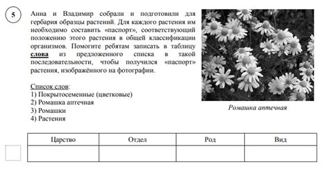 ВПР по биологии 5 класс. Демоверсия 2023 года