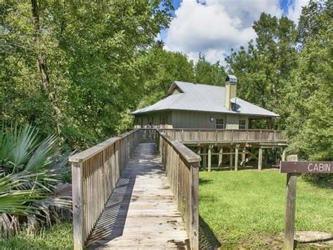 Explore The Natural Beauty Of Palmetto Island State Park